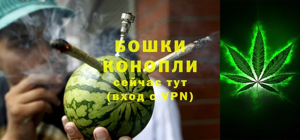 PSILOCYBIN Абаза
