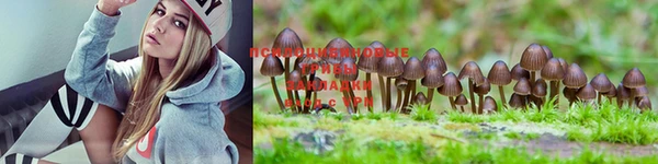 PSILOCYBIN Абаза