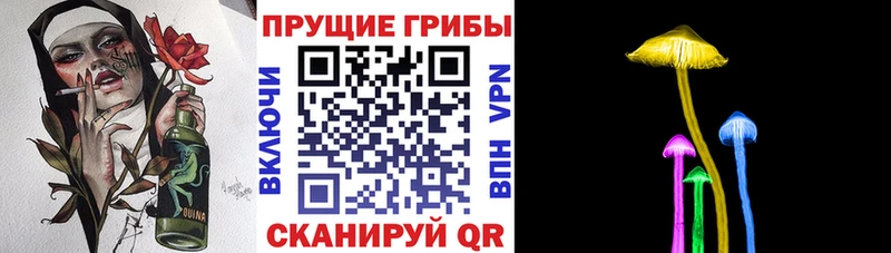 кракен сайт Братск Галлюциногенные грибы Magic Shrooms
