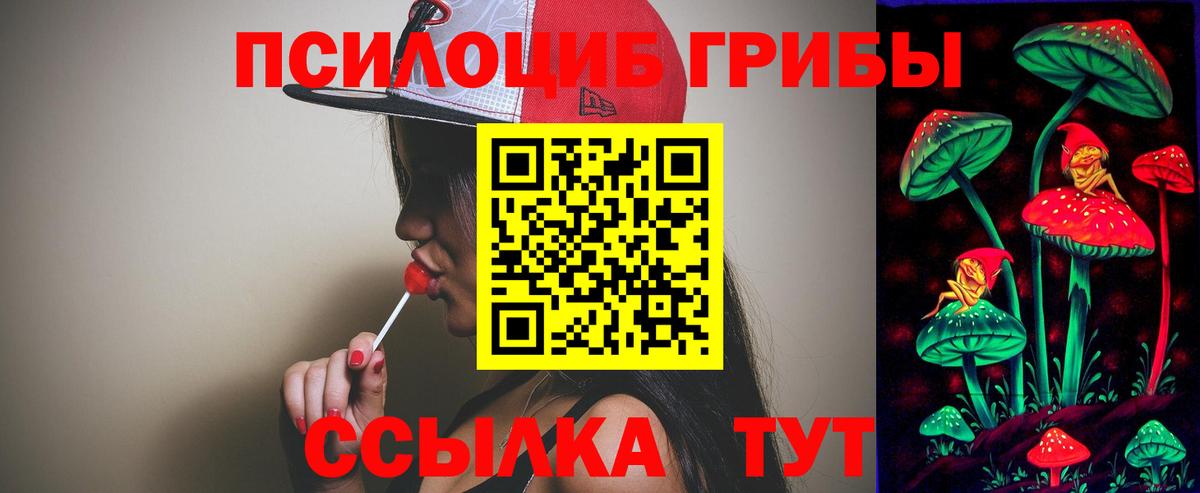 Псилоцибиновые грибы MAGIC MUSHROOMS Братск